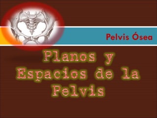 Pelvis Ósea 