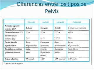 Diferencias entre los tipos de Pelvis 