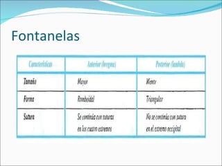 Fontanelas 
