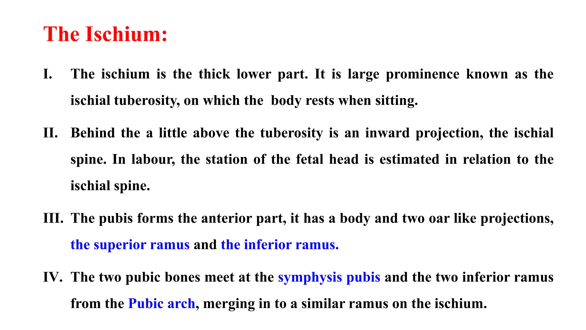 Anatomy of the pelvis- obstetrics and gynaecology | PPTX