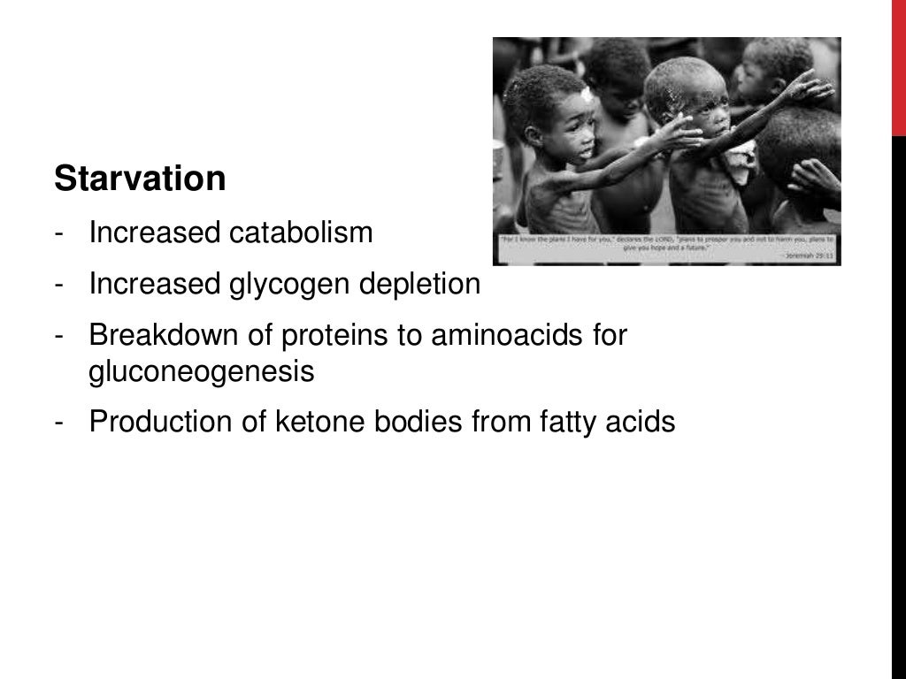 Protein energy malnutrition