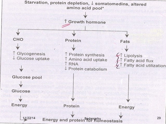 cmh2o peep definition cmh2o peep definition