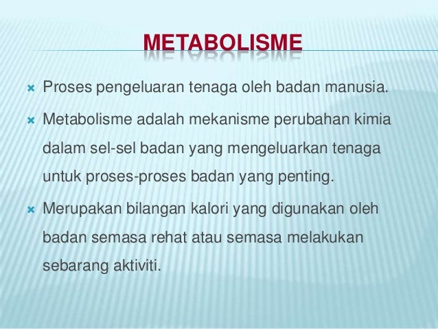 Pemakanan Dan Metabolisme