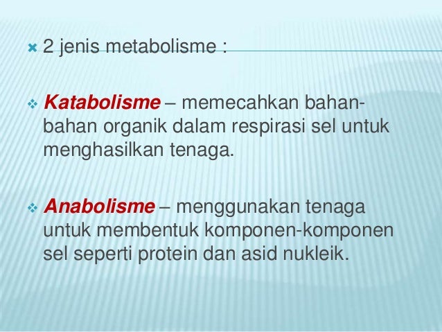Pemakanan Dan Metabolisme