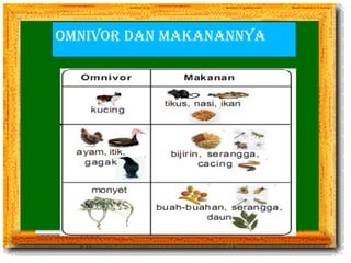OMNIVOR DAN MAKANANNYA 