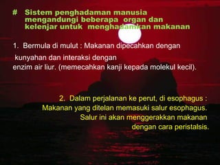 Nas Dari Al-Quran/Hadis   #  Sistem penghadaman manusia  mengandungi beberapa  organ dan  kelenjar untuk  menghadamkan makanan   1.  Bermula di mulut : Makanan dipecahkan dengan kunyahan dan interaksi dengan  enzim air liur. (memecahkan kanji kepada molekul kecil). 2.  Dalam perjalanan ke perut, di esophagus :  Makanan yang ditelan memasuki salur esophagus.  Salur ini akan menggerakkan makanan  dengan cara peristalsis. 