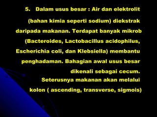 5.  Dalam usus besar : Air dan elektrolit  (bahan kimia seperti sodium) diekstrak  daripada makanan. Terdapat banyak mikrob (Bacteroides, Lactobacillus acidophilus,  Escherichia coli, dan Klebsiella) membantu  penghadaman. Bahagian awal usus besar  dikenali sebagai cecum.  Seterusnya makanan akan melalui  kolon ( ascending, transverse, sigmois) 