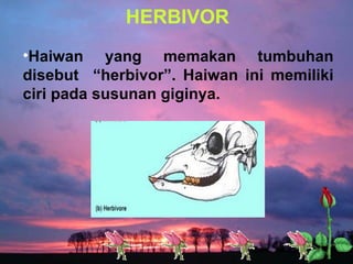 HERBIVOR Haiwan yang memakan tumbuhan disebut  “herbivor”. Haiwan ini memiliki ciri pada susunan giginya. 