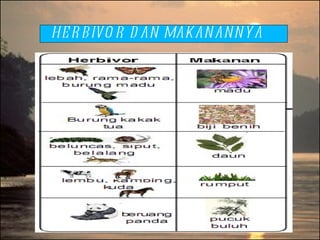 HERBIVOR DAN MAKANANNYA 