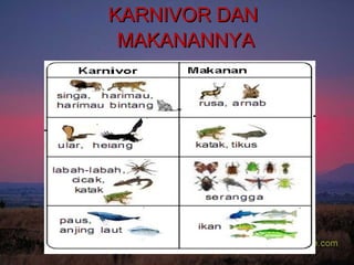 KARNIVOR DAN  MAKANANNYA 