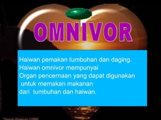 OMNIVOR Haiwan pemakan tumbuhan dan daging.  Haiwan omnivor mempunyai Organ pencernaan yang dapat digunakan untuk memakan makanan  dari  tumbuhan dan haiwan. 