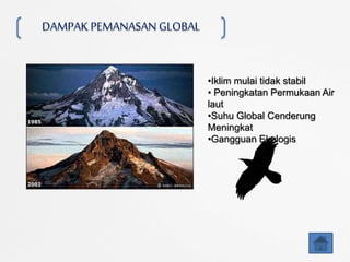 DAMPAK PEMANASAN GLOBAL
•Iklim mulai tidak stabil
• Peningkatan Permukaan Air
laut
•Suhu Global Cenderung
Meningkat
•Gangguan Ekologis
 