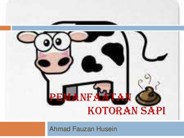 Pemanfaatan kotoran sapi
