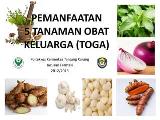 PEMANFAATAN
5 TANAMAN OBAT
KELUARGA (TOGA)
Poltekkes Kemenkes Tanjung Karang
Jurusan Farmasi
2012/2013
 