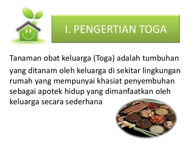 Pemanfaatan 5 tanaman  obat keluarga toga 