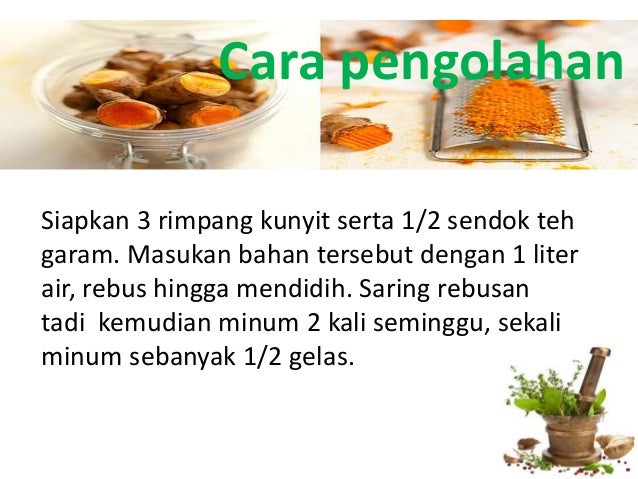 Pemanfaatan 5 tanaman obat keluarga toga 