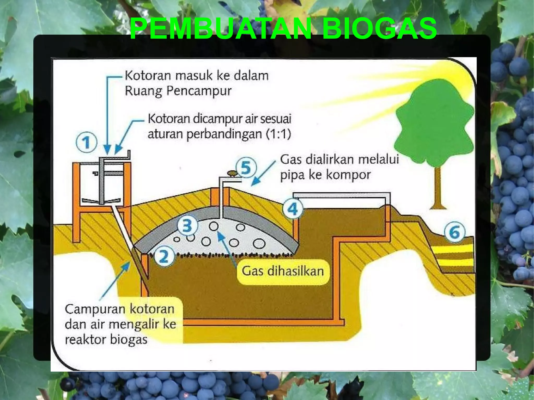 PEMBUATAN BIOGAS
 