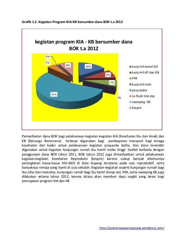 Pemanfaatan dana bok puskesmas pasir panjang tahun 2012