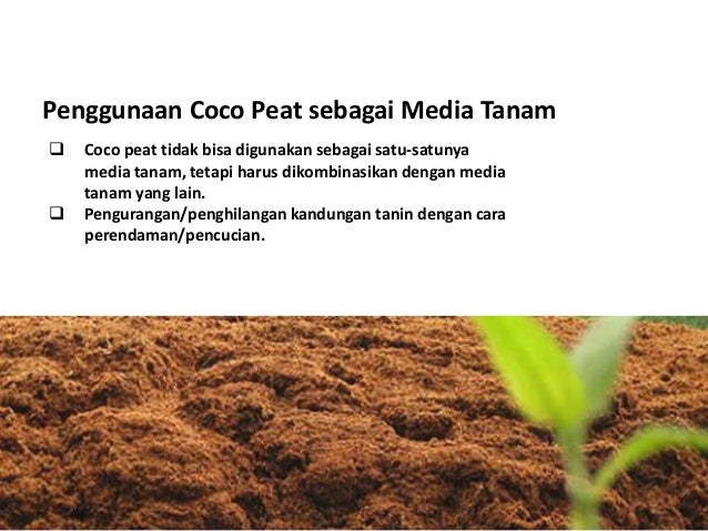Pemanfaatan limbah coco peat untuk media tanam 