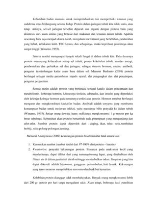 Kebutuhan badan manusia untuk mempertahankan dan memperbaiki tenunan yang
sudah tua terus berlangsung selama hidup. Protein dalam jaringan tubuh kita tidak statis, atau
tetap. Artinya, sel-sel jaringan tersebut dipecah dan diganti dengan protein baru yang
disintesis dari asam amino yang berasal dari makanan dan tenunan dalam tubuh. Apabila
seseorang baru saja menjadi donor darah, mengalami menstruasi yang berlebihan, pendarahan
yang hebat, kebakaran kulit, TBC kronis, dan sebagainya, maka keperluan proteinnya akan
sangat tinggi (Winarno, 1993).
Protein sendiri mempunyai banyak sekali fungsi di dalam tubuh kita. Pada dasarnya
protein menunjang keberadaan setiap sel tubuh, proses kekebalan tubuh, sumber energi,
pembentukan dan perbaikan sel dan jaringan, sebagai sintesis hormon, enzim, antibodi,
pengatur keseimbangan kadar asam basa dalam sel. Menurut Budianto (2001) protein
berfungsi sebagai media perambatan impuls syaraf, alat pengangkut dan alat penyimpan,
pengatur pergerakan.
Semua enzim adalah protein yang bertindak sebagai katalis dalam pencernaan dan
metabolisme. Beberapa hormon, khususnya tiroksin, adrenalin, dan insulin yang diproduksi
oleh kelenjar-kelenjar hormon pada umumnya terdiri atas protein. Hormon tersebut berfungsi
mengatur dan mengkoordinasi keaktifan badan. Antibodi adalah senyawa yang membantu
kemampuan badan untuk melawan infeksi, yaitu masuknya bibit penyakit ke dalam tubuh
(Winarno, 1993). Setiap orang dewasa harus sedikitnya mengkonsumsi 1 g protein per kg
berat tubuhnya. Kebutuhan akan protein bertambah pada perempuan yang mengandung dan
atlet-atlet. Sumber protein dapat diperoleh dari : daging, ikan, telur, susu, tumbuhan
berbiji, suku polong-polongan,kentang.
Menurut Anonymous (2009) kekurangan protein bisa berakibat fatal antara lain:
1. Kerontokan rambut (rambut terdiri dari 97-100% dari protein – keratin)
2. Kwasiorkor, penyakit kekurangan protein. Biasanya pada anak-anak kecil yang
menderitanya, dapat dilihat dari yang namanyabusung lapar, yang disebabkan oleh
filtrasi air di dalam pembuluh darah sehingga menimbulkan odem. Simptom yang lain
dapat dikenali adalah: hipotonus, gangguan pertumbuhan, hati lemak. Kekurangan
yang terus menerus menyebabkan marasmusdan berkibat kematian.
Kelebihan protein dianggap tidak membahayakan. Banyak orang mengkonsumsi lebih
dari 200 gr protein per hari tanpa mengalami sakit. Akan tetapi, beberapa hasil penelitian
 