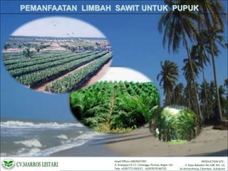 PEMANFAATAN LIMBAH SAWIT UNTUK PUPUK

Head Office-LABORATORY :
PRODUCTION SITE :
Jl. Sriwijaya C3-17, Cimanggu Permai, Bogor-16161.
Jl. Raya Babakan No.168, Km. 12,
Telp. +6287771160237, +6287870140732
Ds.Kertaraharja, Cikembar, Sukabumi

 