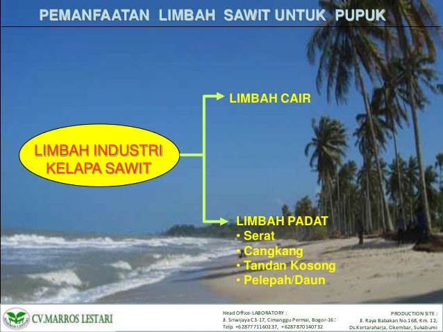 PEMANFAATAN LIMBAH SAWIT SEBAGAI BAHAN BAKU PUPUK ORGANIK PEMANFAATAN LIMBAH SAWIT SEBAGAI BAHAN BAKU PUPUK ORGANIK