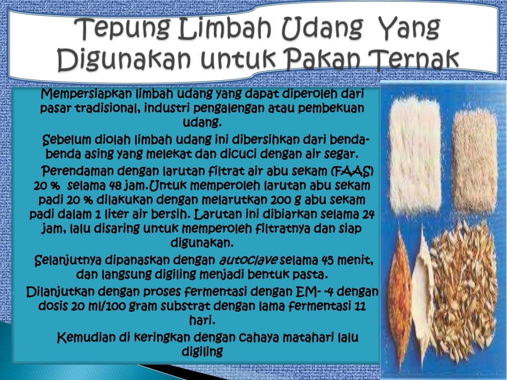 Pemanfaatan limbah udang Pemanfaatan limbah udang
