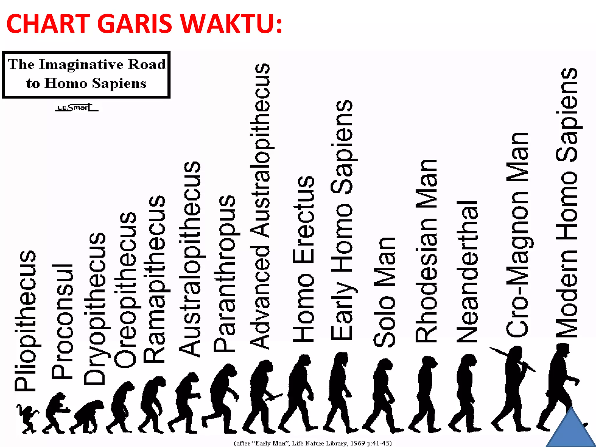CHART GARIS WAKTU:
 