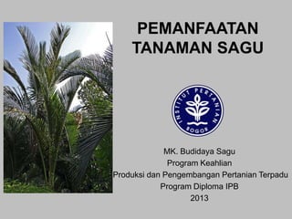 PEMANFAATAN
TANAMAN SAGU

MK. Budidaya Sagu
Program Keahlian
Produksi dan Pengembangan Pertanian Terpadu
Program Diploma IPB
2013

 