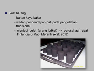kulit batang
- bahan kayu bakar
- wadah pengendapan pati pada pengolahan
tradisional
- menjadi pelet (arang briket) >> perusahaan asal
Finlandia di Kab. Meranti sejak 2012

 