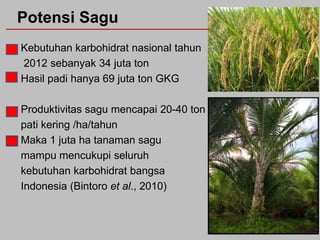 Potensi Sagu
Kebutuhan karbohidrat nasional tahun
2012 sebanyak 34 juta ton
Hasil padi hanya 69 juta ton GKG
Produktivitas sagu mencapai 20-40 ton
pati kering /ha/tahun
Maka 1 juta ha tanaman sagu
mampu mencukupi seluruh
kebutuhan karbohidrat bangsa
Indonesia (Bintoro et al., 2010)

 