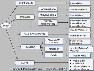 BRIKET ARANG

Industri Kimia
SAGU MUTIARA

PATI SAGU

Industri Makanan

SENYAWA KIMIA

Industri Kimia

DEKTRIN
CICLODEKTRIN

SAGU

Industri Kosmetik
Industri Farmasi
Industri Pestisida
Industri Makanan

SINGLE CELL PROTEIN

Makanan Ternak
ASAM-ASAM
ORGANIK

GLUKOSA

FRUKTOSA

Bahan Energi
Industri Kimia
Industri Makanan/
Minuman

CIANOL
AMPAS

Gambar 1. Pemanfaatan sagu (Bintoro et al., 2010)

Industri Kimia





Media Jamur
Hard board
Industri Makanan
Industri Minuman

 