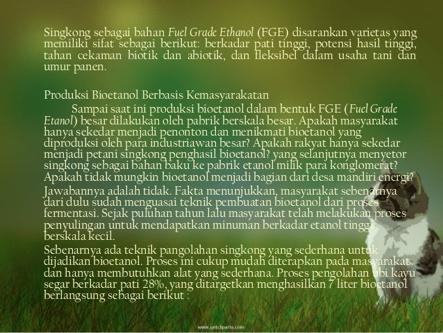 Pemanfaatan singkong genderuwo sebagai energi alternatif 