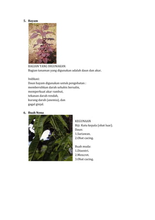 5. Bayam

BAGIAN YANG DIGUNAKAN:
Bagian tanaman yang digunakan adalah daun dan akar.
Indikasi:
Daun bayam digunakan untuk pengobatan :
membersihkan darah sehabis bersalin,
memperkuat akar rambut,
tekanan darah rendah,
kurang darah (anemia), dan
gagal ginjal.
6. Buah Nona
KEGUNAAN
Biji: Kutu kepala (obat luar).
Daun:
1.Sariawan.
2.Obat cacing.
Buah muda:
1.Disentri.
2.Mencret.
3.Obat cacing.

 