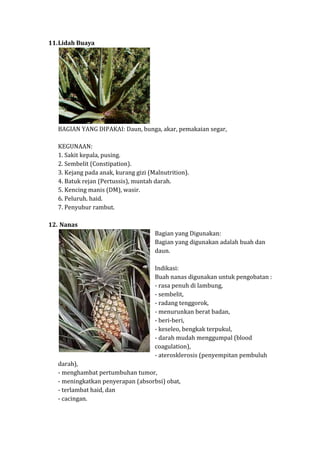 11. Lidah Buaya

BAGIAN YANG DIPAKAI: Daun, bunga, akar, pemakaian segar,
KEGUNAAN:
1. Sakit kepala, pusing.
2. Sembelit (Constipation).
3. Kejang pada anak, kurang gizi (Malnutrition).
4. Batuk rejan (Pertussis), muntah darah.
5. Kencing manis (DM), wasir.
6. Peluruh. haid.
7. Penyubur rambut.
12. Nanas
Bagian yang Digunakan:
Bagian yang digunakan adalah buah dan
daun.
Indikasi:
Buah nanas digunakan untuk pengobatan :
- rasa penuh di lambung,
- sembelit,
- radang tenggorok,
- menurunkan berat badan,
- beri-beri,
- keseleo, bengkak terpukul,
- darah mudah menggumpal (blood
coagulation),
- aterosklerosis (penyempitan pembuluh
darah),
- menghambat pertumbuhan tumor,
- meningkatkan penyerapan (absorbsi) obat,
- terlambat haid, dan
- cacingan.

 