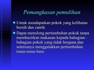 Pemangkasan pemulihan Untuk mendapatkan pokok yang kelihatan bersih dan cantik Dapat menolong pertumbuhan pokok tanpa membazirkan makanan kepada bahagian-bahagian pokok yang tidak berguna dan seterusnya menggalakkan pertumbuhan tunas-tunas baru 