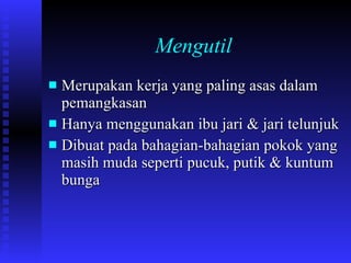 Mengutil Merupakan kerja yang paling asas dalam pemangkasan Hanya menggunakan ibu jari & jari telunjuk Dibuat pada bahagian-bahagian pokok yang masih muda seperti pucuk, putik & kuntum bunga 