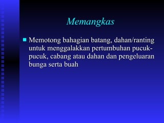 Memangkas Memotong bahagian batang, dahan/ranting untuk menggalakkan pertumbuhan pucuk-pucuk, cabang atau dahan dan pengeluaran bunga serta buah 