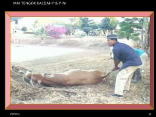 1/31/2015 35
O
MAI TENGOK KAEDAH P & P INI
 