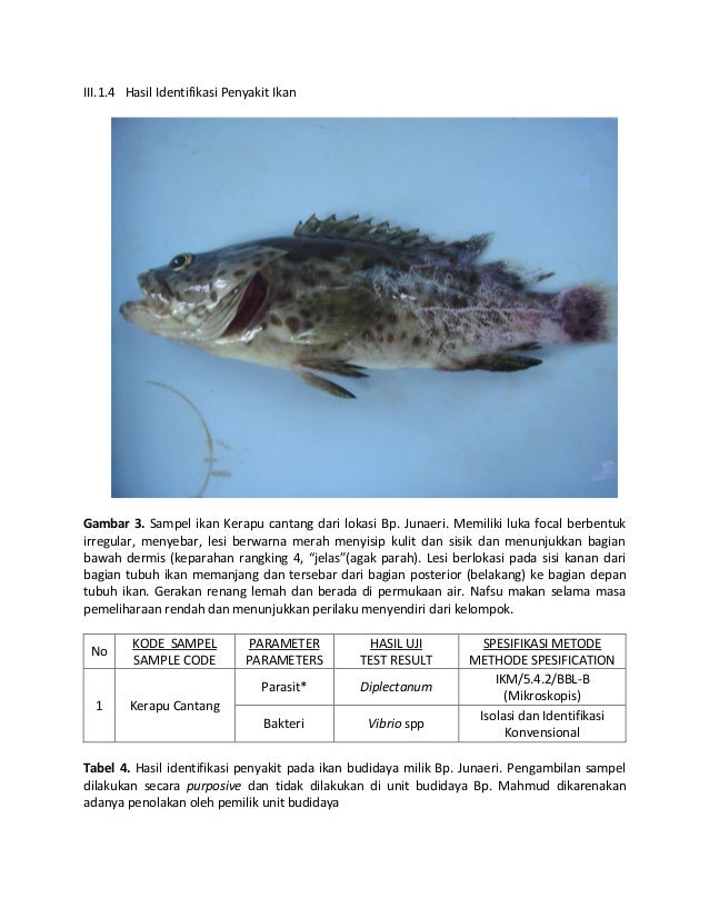Pemantauan kawasan budidaya dan kesehatan ikan dan Pemantauan kawasan budidaya dan kesehatan ikan dan