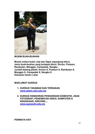 MUSIM BUAH-BUAHAN

Musim antara bulan July dan Ogos sepanjang tahun.
Jenis buah-buahan yang terdapat disini: Durian, Pulasan,
Rambutan, Manggis, Cempedak, Nangka
Jumlah batang pokok: Durian X, Pulasan X, Rambutan X,
Manggis X, Cempedak X, Nangka X
Keluasan tanah x ekar


MAKLUMAT KURSUS

  1. KURSUS TANAMAN DAN TERNAKAN
     www.apeec.upm.edu.my

  2. KURSUS KEMAHIRAN PENDAWAIAN DOMESTIK, ASAS
     FOTOGRAFI, PENERBITAN VIDEO, KOMPUTER &
     RANGKAIAN, AIRCOND....
     www.spaceutm.edu.my




PERMATA HATI
                                                           65
 