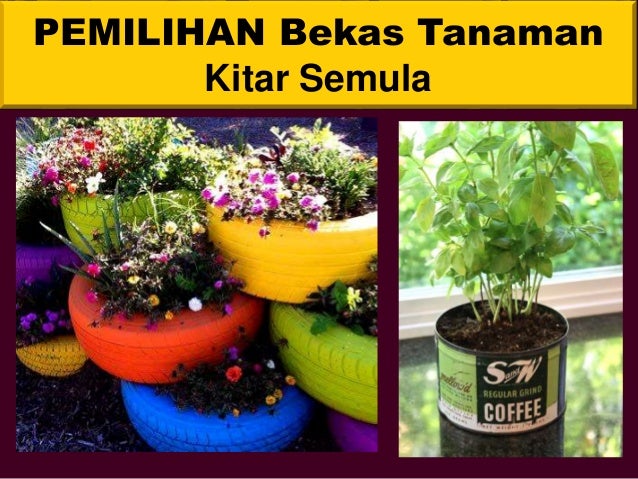 Tanaman Hiasan Pemasuan semula Tanaman Hiasan Pemasuan semula