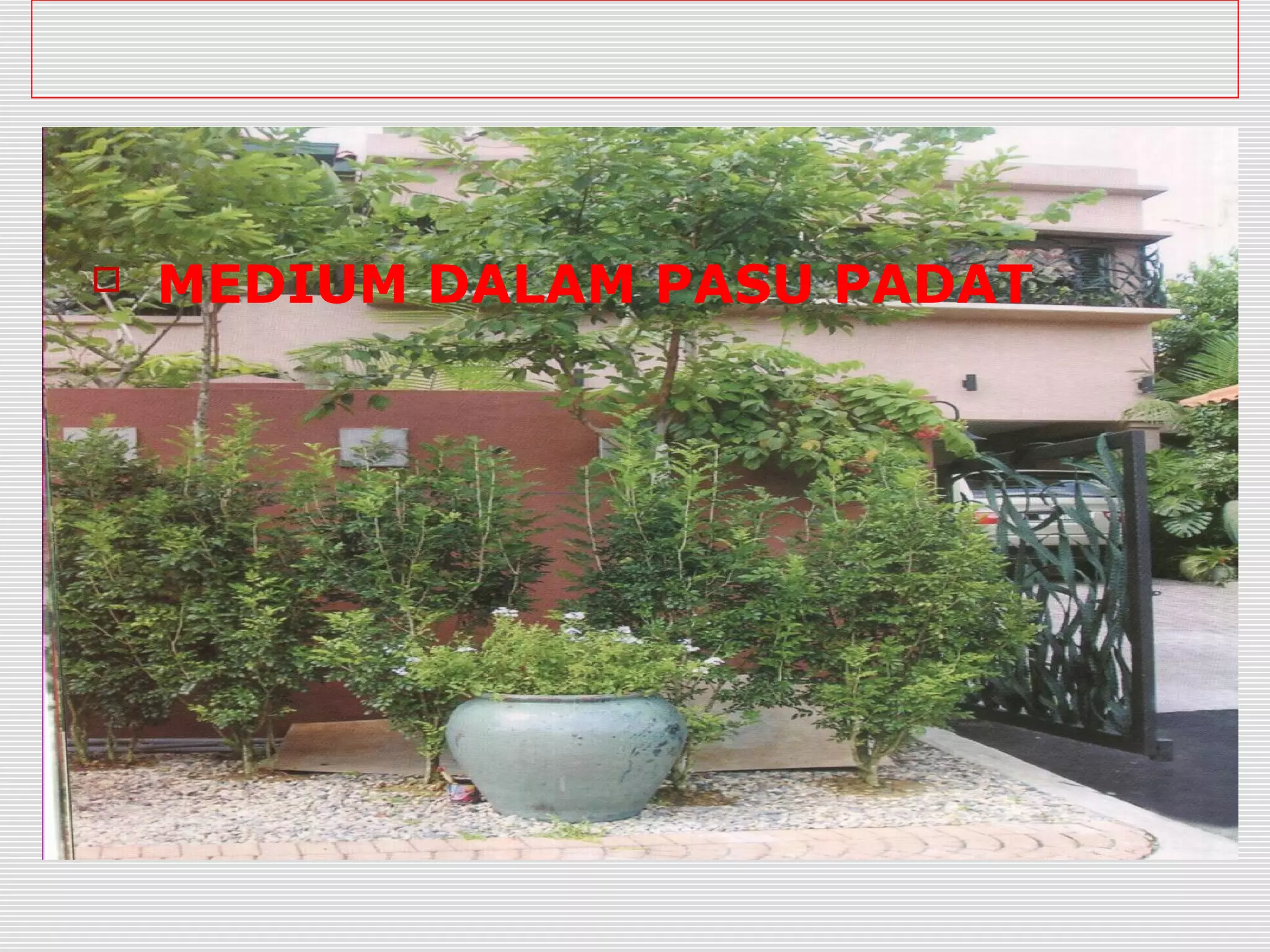    MEDIUM DALAM PASU PADAT
 