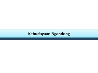 Kebudayaan Ngandong
 