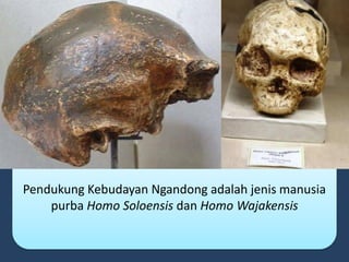 Pendukung Kebudayan Ngandong adalah jenis manusia
purba Homo Soloensis dan Homo Wajakensis
 