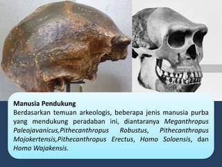 Manusia Pendukung
Berdasarkan temuan arkeologis, beberapa jenis manusia purba
yang mendukung peradaban ini, diantaranya Meganthropus
Paleojavanicus,Pithecanthropus Robustus, Pithecanthropus
Mojokertensis,Pithecanthropus Erectus, Homo Soloensis, dan
Homo Wajakensis.
 
