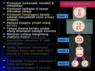 Pembahagian sel modul 2 sem 2 kv | PPT