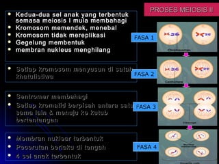Pembahagian sel modul 2 sem 2 kv | PPT