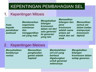 Pembahagian sel modul 2 sem 2 kv | PPT