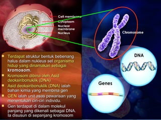 Pembahagian sel modul 2 sem 2 kv | PPT
